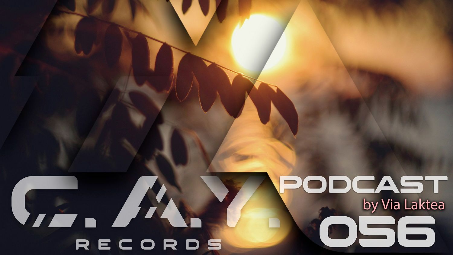 (056) C.A.Y. Records podcast by Via Laktea