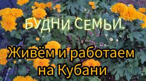 03-07-26/ Собрали крыжовник,красную и чёрную смородину/ Шукрут/ Новое варенье😊/ Наша жизнь на юге/