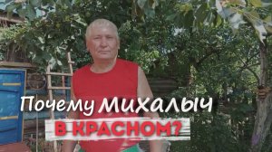 ОБЗОРЧИК от Михалыча