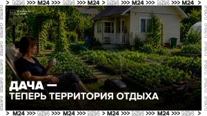 Россияне все чаще превращают дачи в место для отдыха - Москва 24