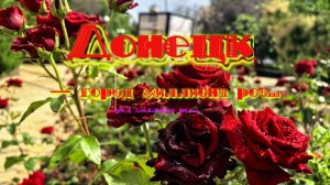 Донецк - город миллиона роз *