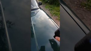 1000342977.mp4