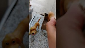 Обзор на конюшню.