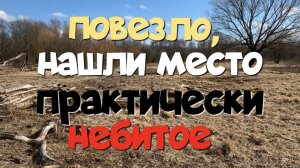Повезло, нашли место практически небитое. Поиск с ЭКВИНОКС 800.