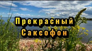 Волшебный  саксофон, удивительно красивая музыка для души