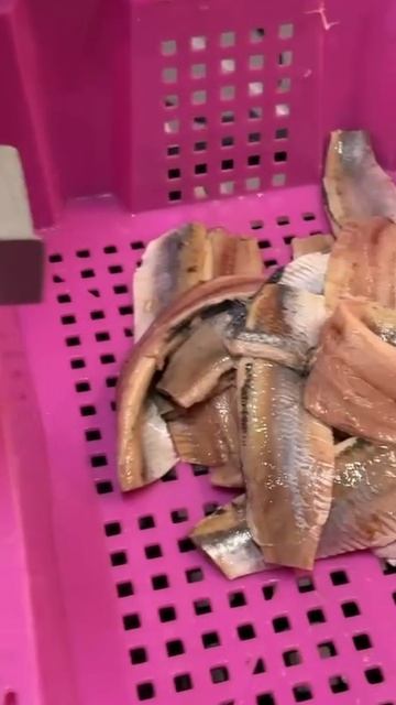 Шкуросъёмная машина для сельди Orkos смотреть онлайн