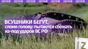 Бегут, сверкая пятками: ВСУшники пытаются спасти свои жизни под натиском российских военных