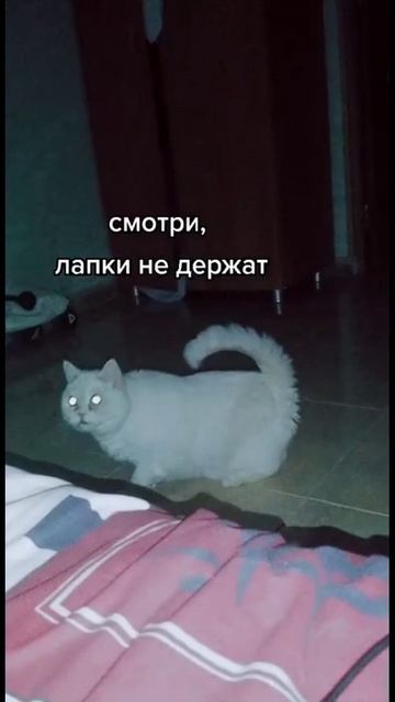 Доброе утро!