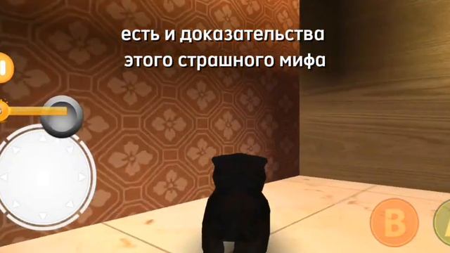 Kitten Cat Simulator 3D.  мифы и пасхалки