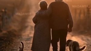 Видео шедевры ИИ