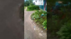 Трансляция