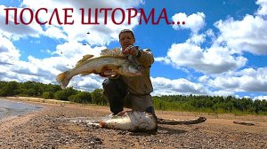 ОЖИДАНИЯ ОПРАВДАЛИСЬ! ШТОРМ, ДЖИГ и НОВЫЙ РЕКОРД ПО СУДАКУ