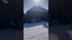 Подгон босяцкий от Безумного Паши