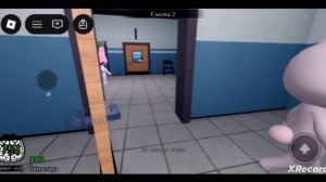 Animal Hospital Anomaly