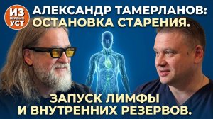 Путь от хронической усталости к легкости. Как вернуть органы на место