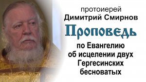 По Евангелию об исцелении двух Гергесинских бесноватых (2015.07.05). Прот. Димитрий Смирнов