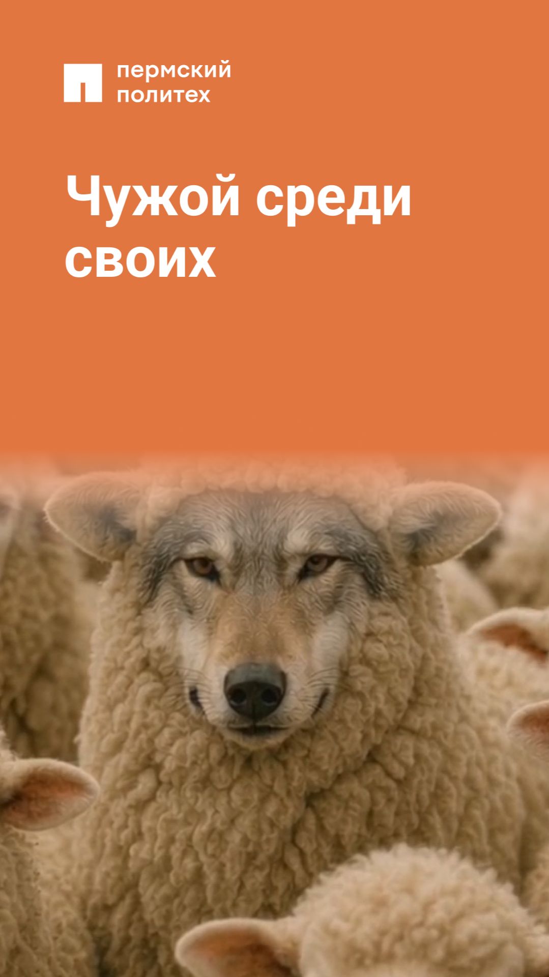 Shorts от Пермского Политеха