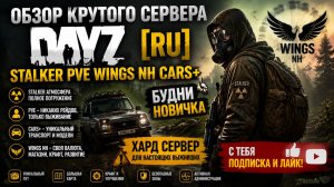 DayZ [RU] STALKER PVE WINGS NH Cars+ выполняем квесты часть 2#SCUM#DayZ