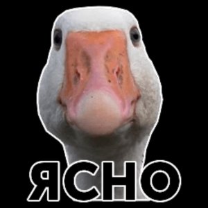 цифровые эксперименты