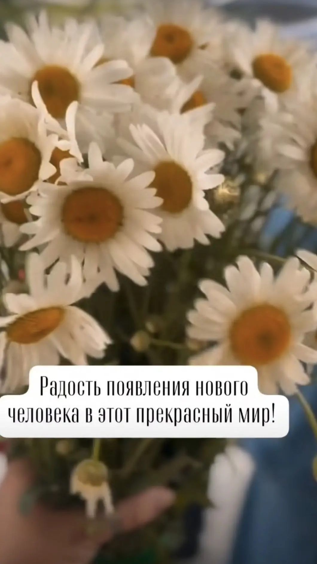 Выписка доченьки священника Михаила и матушки Натальи Ярославских
