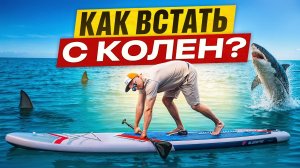 Как БЫСТРО Найти БАЛАНС на САПБОРДЕ? | САП Ю