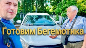 Подготовка Весты (Бегемотика) к Трейд Ину