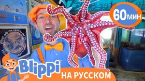 Подводный МИР с Блиппи _ Изучай этот мир вместе с Блиппи _ Blippi Russian