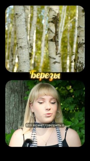 🌳 А вы знали, что по лесу можно определить, какая у вас почва на участке?
