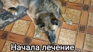 03-07-2026. Начала лечение.