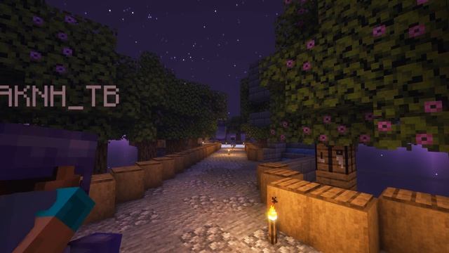 The End | Обход RevolutionWorlds - Ванильный Приватный Сервер Minecraft 1.18.2 смотреть онлайн