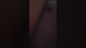 1000034958.mp4