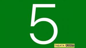 ТАБАТА таймер (8 минут, 20/10 сек, 16 кругов)