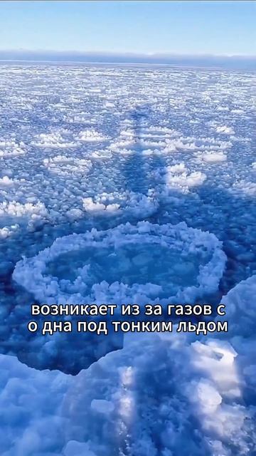 . смотреть онлайн