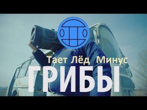 Минус-«Грибы-Тает Лёд» (ReverBeat )