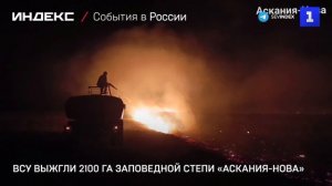ВСУ выжгли 2100 га заповедной степи «Аскания-Нова»