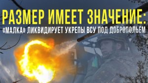 Спецрепортаж WG «Размер имеет значение: «Малка» ликвидирует укрепы ВСУ под Добропольем»