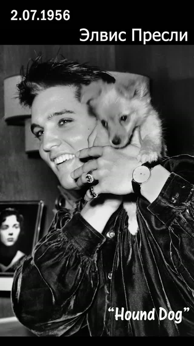 🎙️ 2 июля 1956: Элвис записывает «Hound Dog» — и случайно создаёт величайший сингл эпохи!