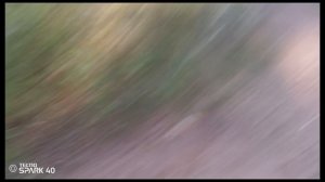 СТУКИТА В 4 В ЛЕСУ (лучший ролик на канале )))ДО КОНЦА ПОДПИШИСЬ за КОНТЕНТ лучший ролик