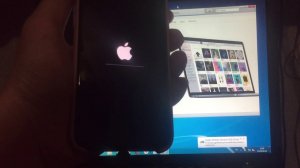 iPhone 11. Не включается. Завис. Горит яблоко.