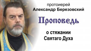 Проповедь о стяжании Святаго Духа (2026.06.29). Протоиерей Александр Березовский