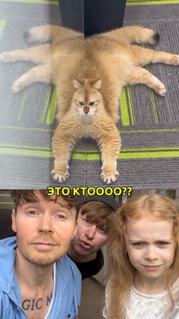 ПОДПИШИСЬ👍🏻