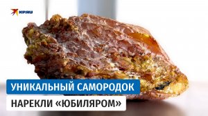 В Калининграде добыли уникальный самородок из двух видов янтаря