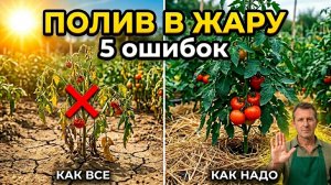 НЕ поливайте так в жару! 5 ошибок, которые тихо губят ваш урожай. Советы огородникам