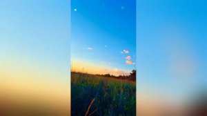 Какой подарок приготовил дом