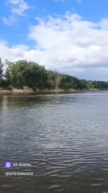 1000038249.mp4 смотреть онлайн