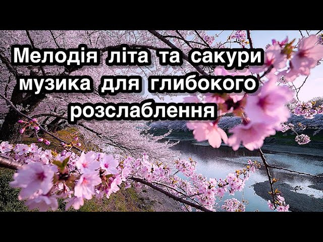 🌸 Мелодія літа та сакури — музика для глибокого розслаблення | Summer Serenity & Sakura Flowers смотреть онлайн