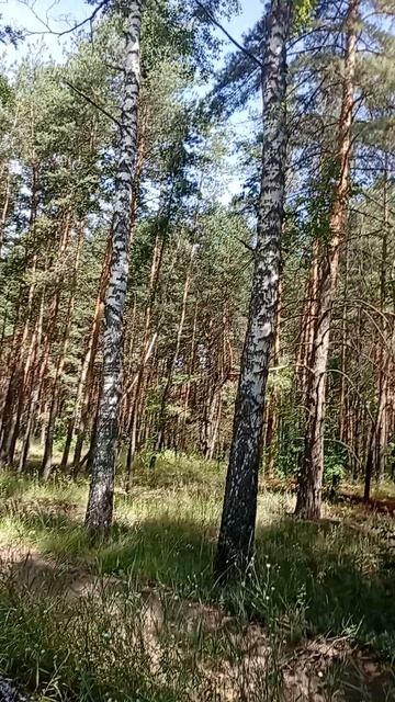 VID_20260627_104520 смотреть онлайн