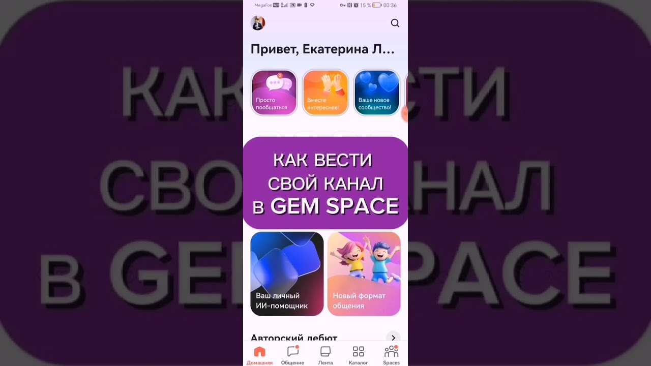 функционал мессенджера Gem Space