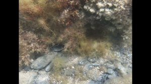 Подводная съёмка в Чёрном море