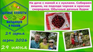 На даче с мамой и куклами. Собираем вишню,на подходе черная и красная смородина.Обычные дачные будни